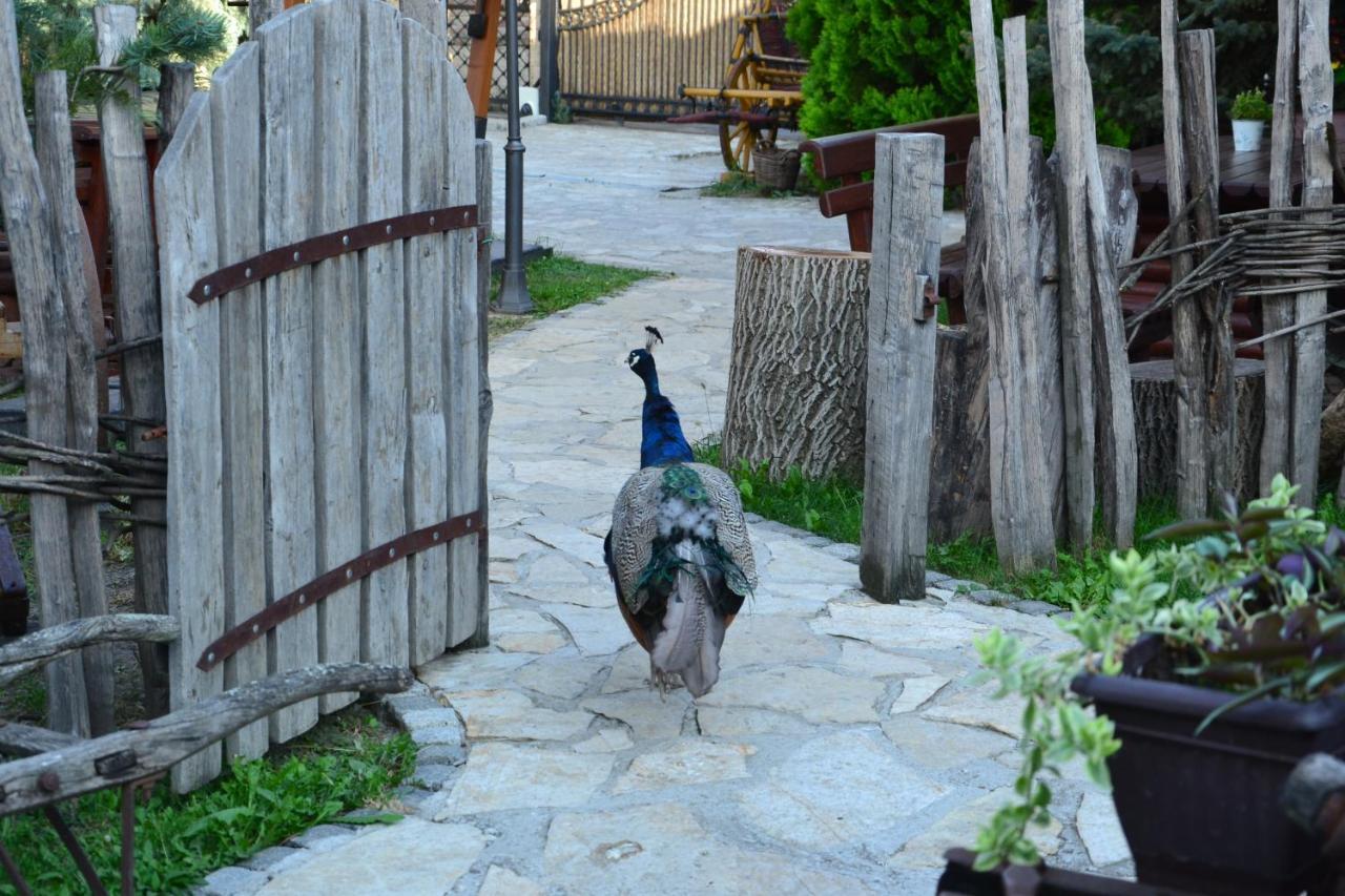 Motel Srpsko Andrejevo Selo Bělehrad Exteriér fotografie